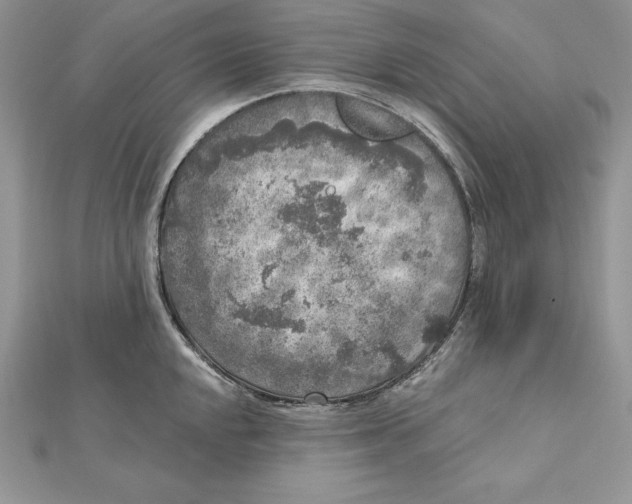 X0000112361048200909031906