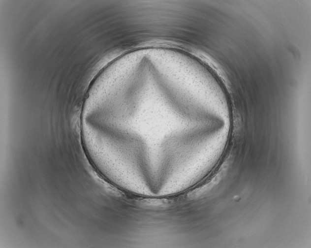 X0000112361049200909031906