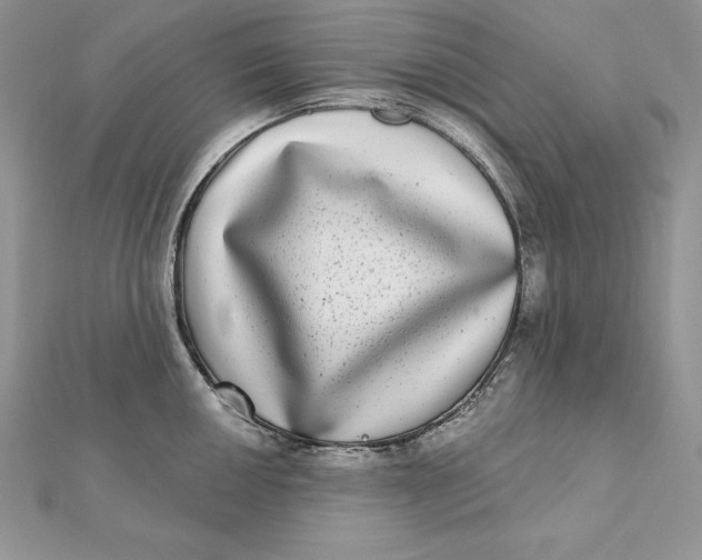 X0000112361050200909031906