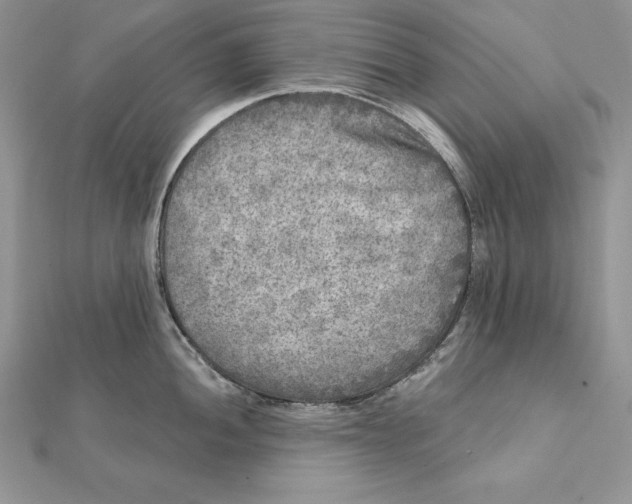 X0000112361052200909031906