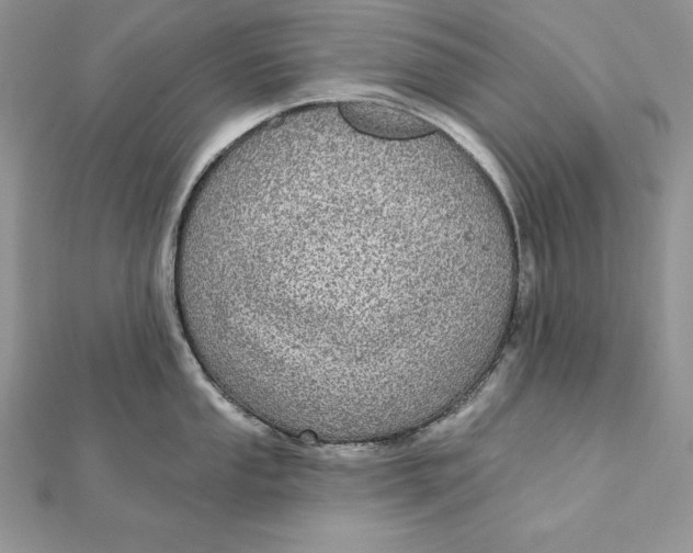 X0000112361053200909031906