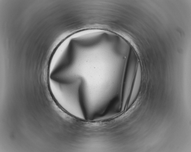 X0000112361054200909031906