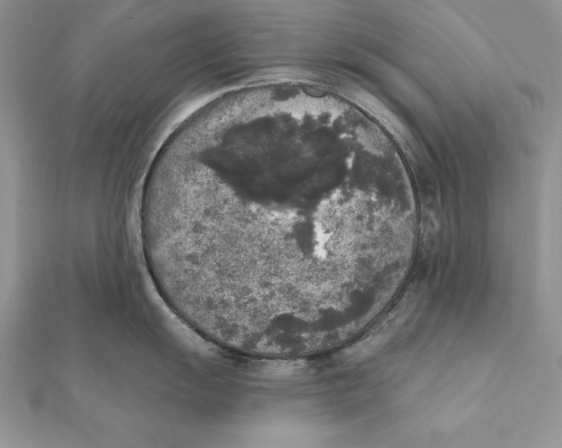 X0000112361055200909031906