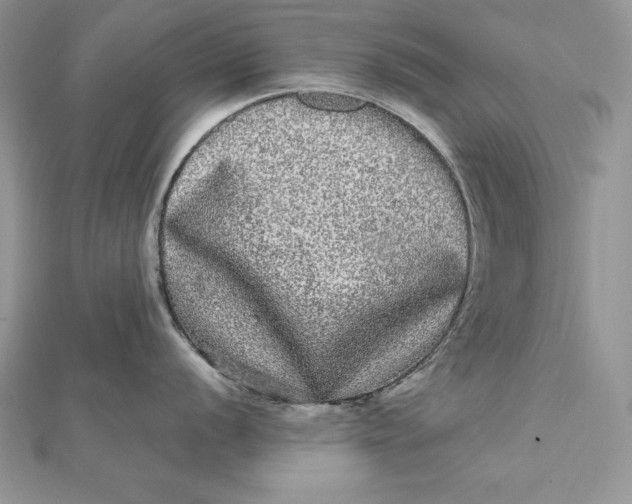 X0000112361056200909031906