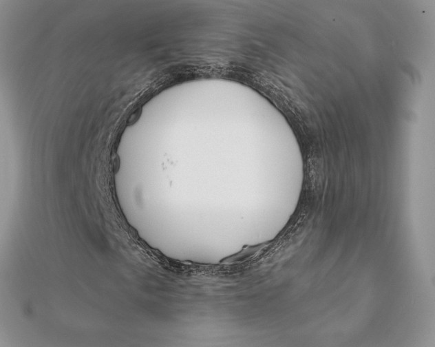 X0000112361057200909031905