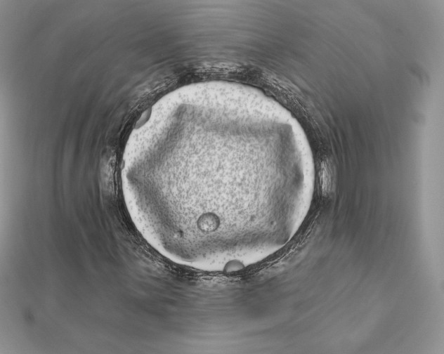 X0000112361059200909031905