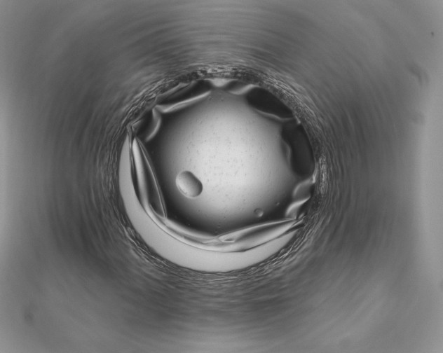 X0000112361060200909031905