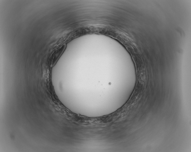 X0000112361061200909031905