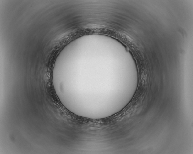 X0000112361062200909031905