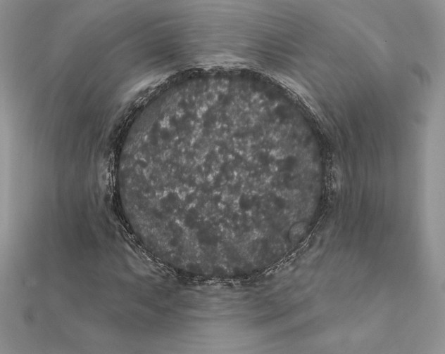 X0000112361063200909031905