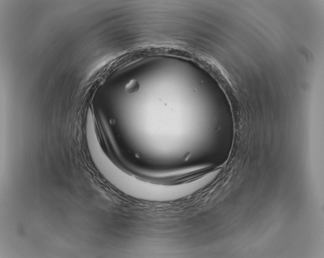 X0000112361064200909031905