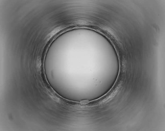 X0000112361065200909031905