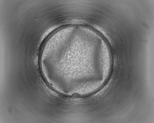 X0000112361066200909031905