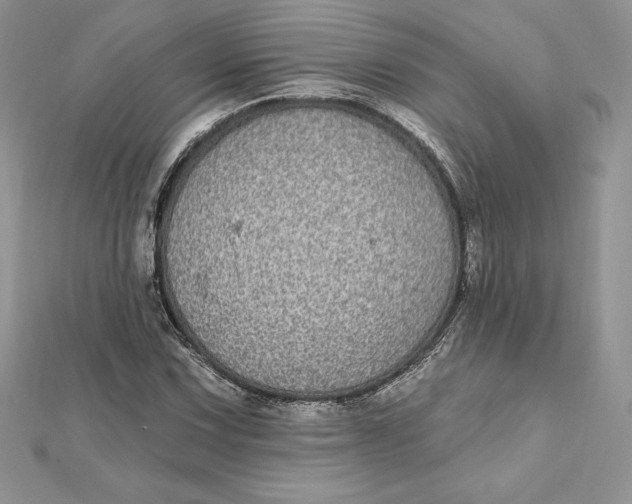 X0000112361067200909031905