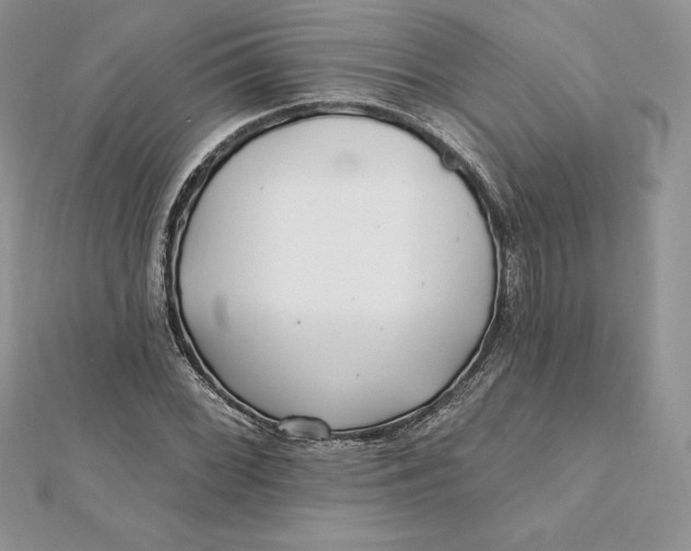 X0000112361068200909031905