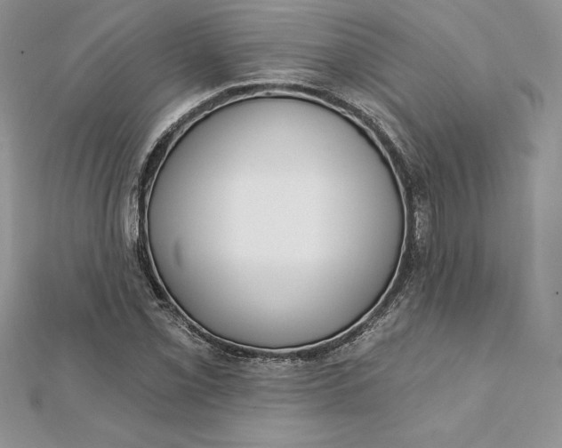 X0000112361069200909031905