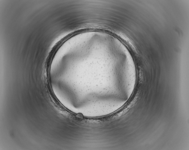 X0000112361070200909031905