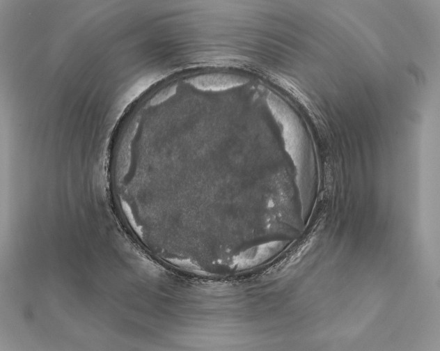 X0000112361071200909031905