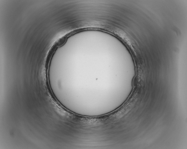 X0000112361072200909031905