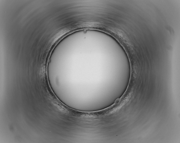 X0000112361073200909031905