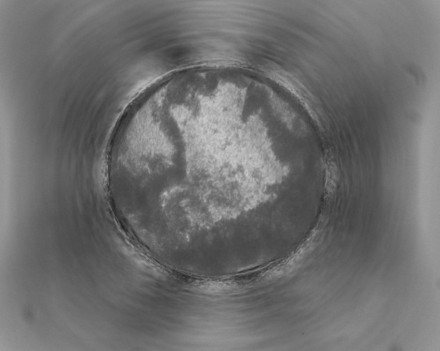 X0000112361074200909031905