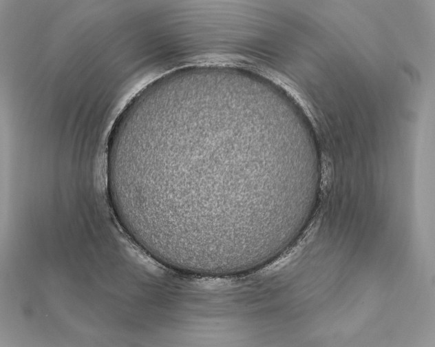 X0000112361075200909031905