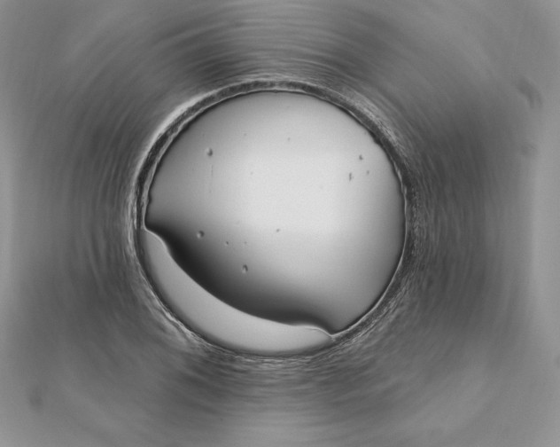 X0000112361076200909031905