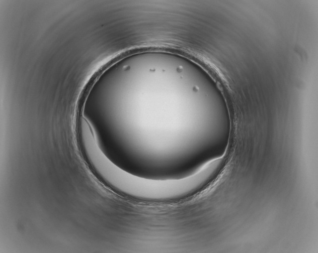 X0000112361077200909031905