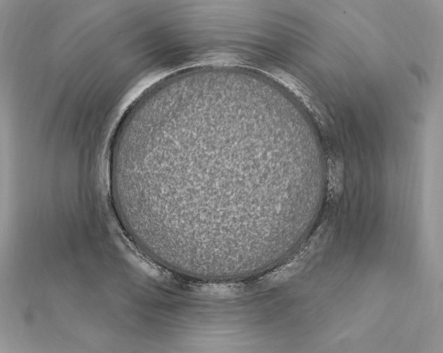 X0000112361078200909031905