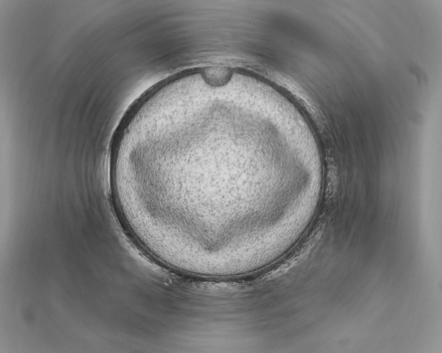 X0000112361079200909031905