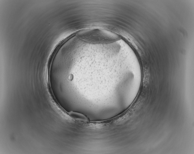 X0000112361080200909031905