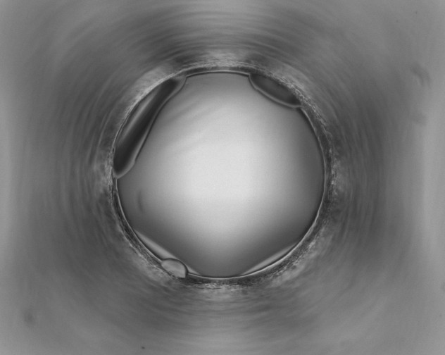 X0000112361081200909031905