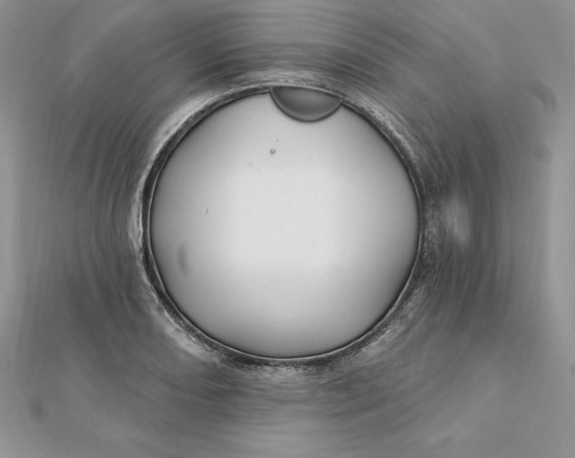 X0000112361082200909031905