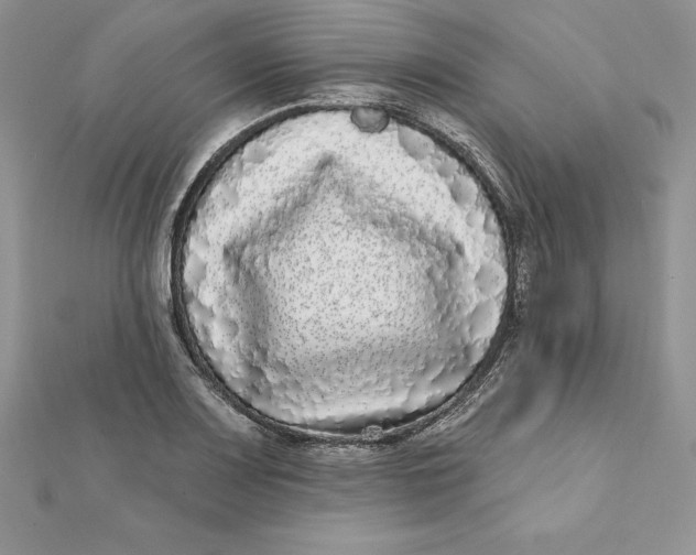 X0000112361083200909031905