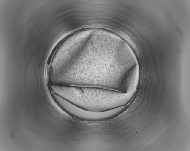 X0000112361084200909031905