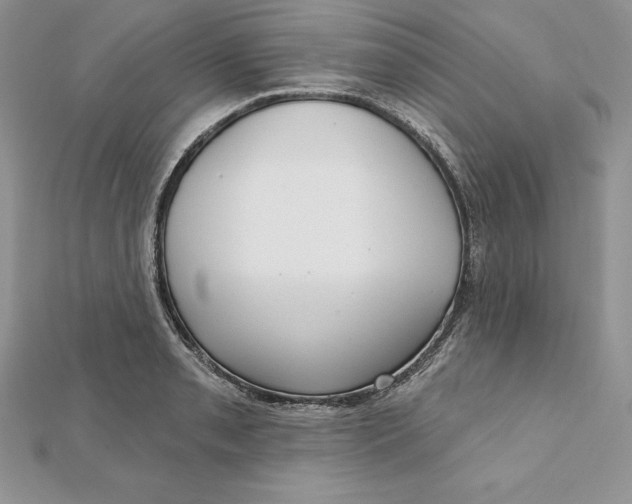 X0000112361085200909031905