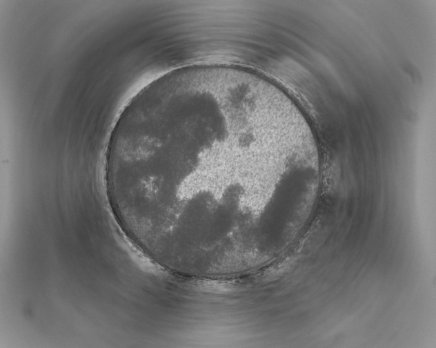 X0000112361086200909031905