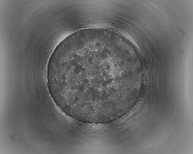 X0000112361087200909031905