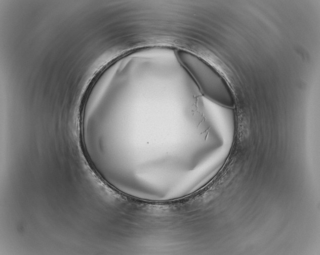 X0000112361088200909031905