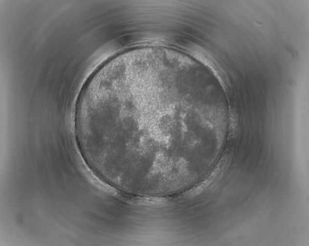 X0000112361090200909031905