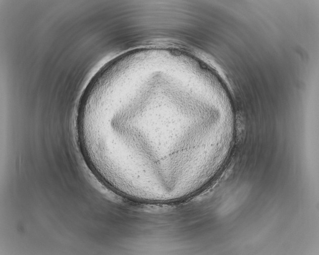 X0000112361091200909031905