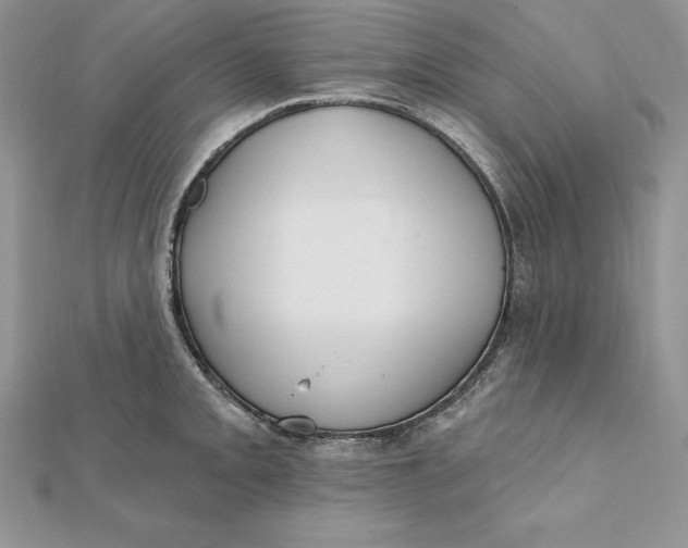 X0000112361093200909031905