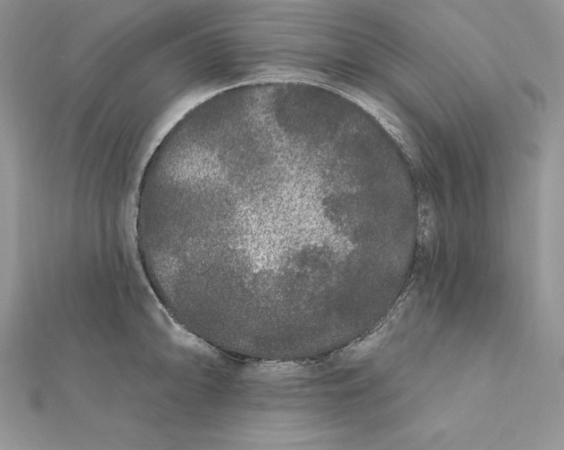 X0000112361094200909031905