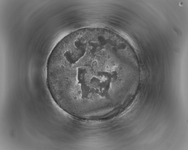 X0000112361095200909031905