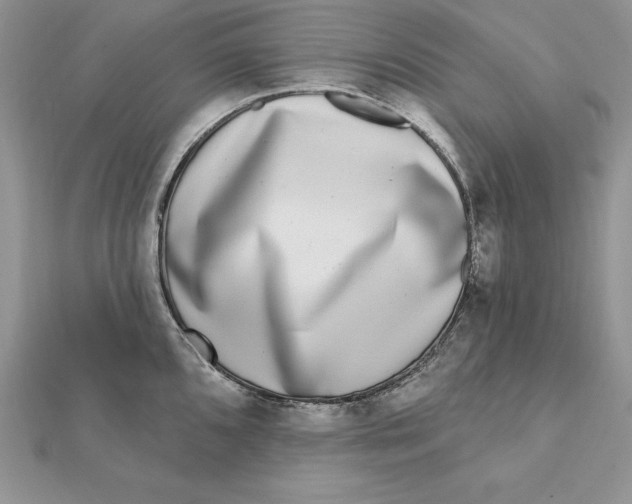 X0000112361096200909031905