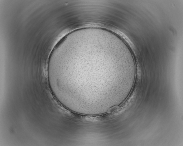 X0000112361097200909031905