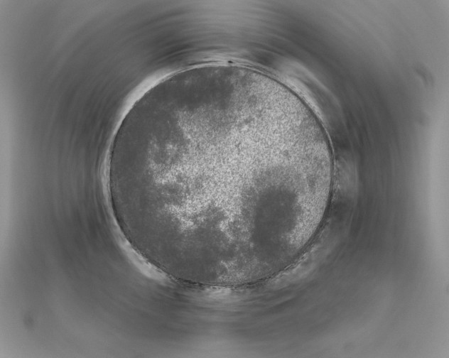 X0000112361098200909031905