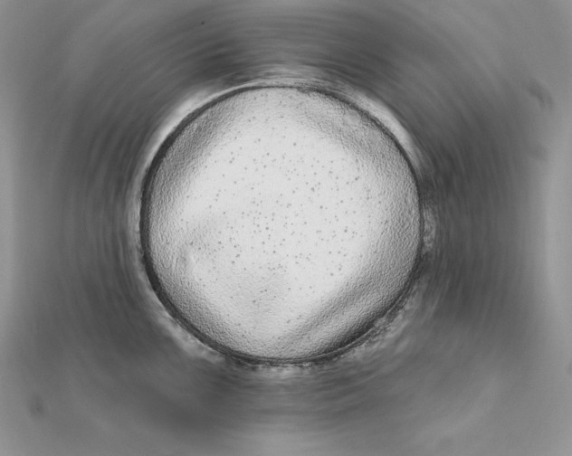 X0000112361099200909031905