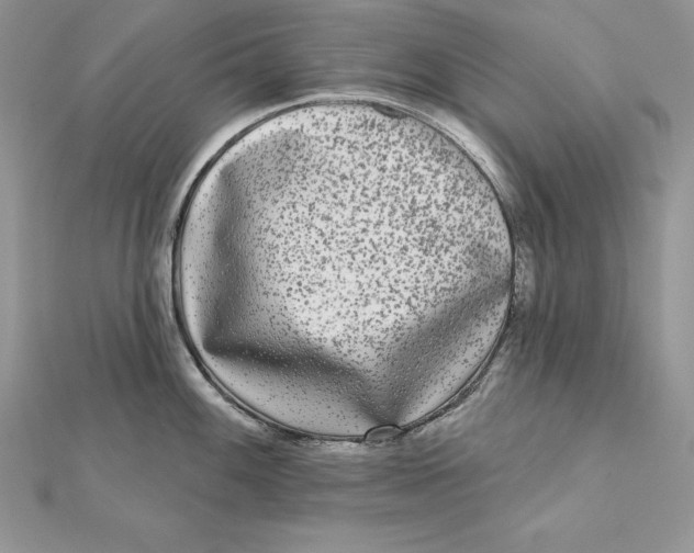 X0000112361100200909031905