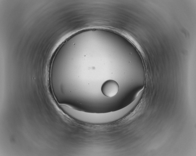 X0000112361101200909031905